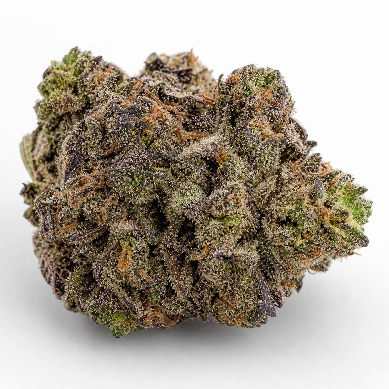 Cogollo de Northern Lights Auto de Vision Seeds sobre fondo blanco, con hojas verdes y moradas, filamentos naranjas y abundantes tricomas visibles.