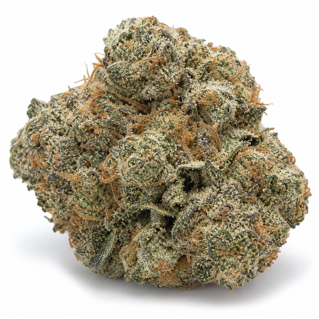 Primer plano de un cogollo de Northern Lights Feminizada de Expert Seeds, de forma redondeada, con tonos verdes, filamentos anaranjados y tricomas claros.
