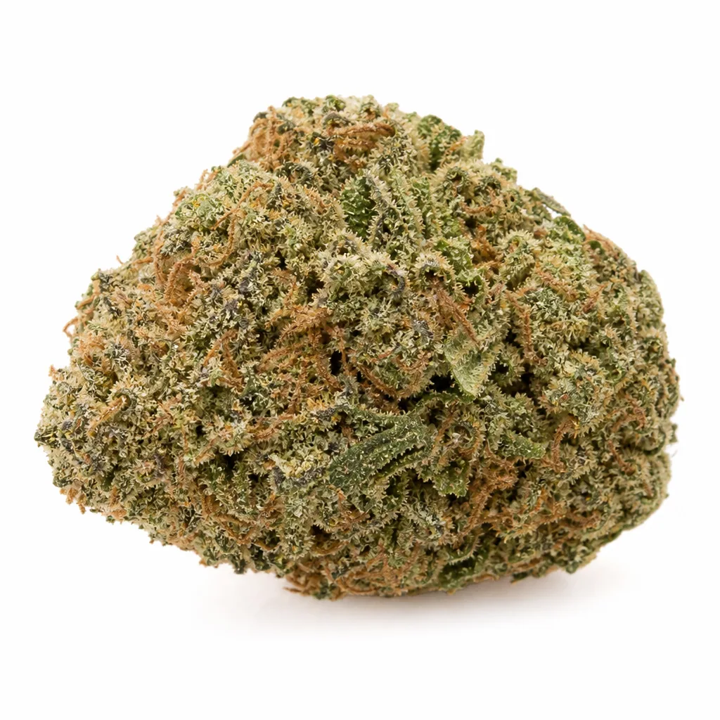 Cogollo compacto de Northern Lights X Feminizada, con pequeñas hojas verdes, pistilos anaranjados y una densa cobertura blanquecina.