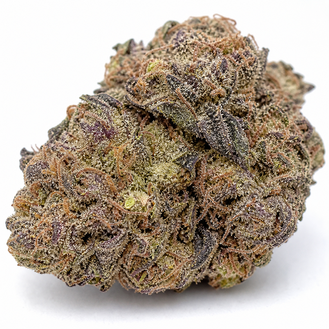 Cogollo de NBA Diesel Auto de Bulk Seeds en primer plano, con tonos verdes y morados, filamentos anaranjados y fondo blanco.