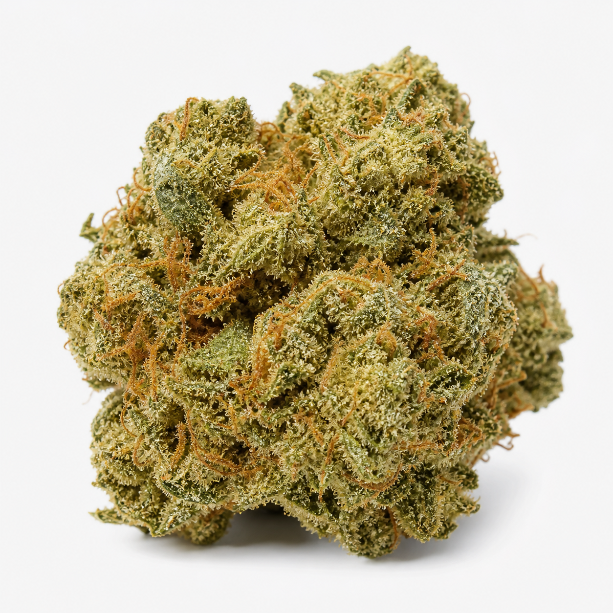 Cogollo de OG Kush Auto de Bulk Seeds en primer plano, con hojas verdes, filamentos anaranjados y una cobertura blanquecina sobre fondo blanco.