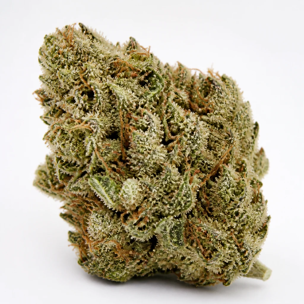 Ilustración de un cogollo verde con filamentos anaranjados y superficie blanquecina para la ficha de OG Kush Auto de Fast Buds.