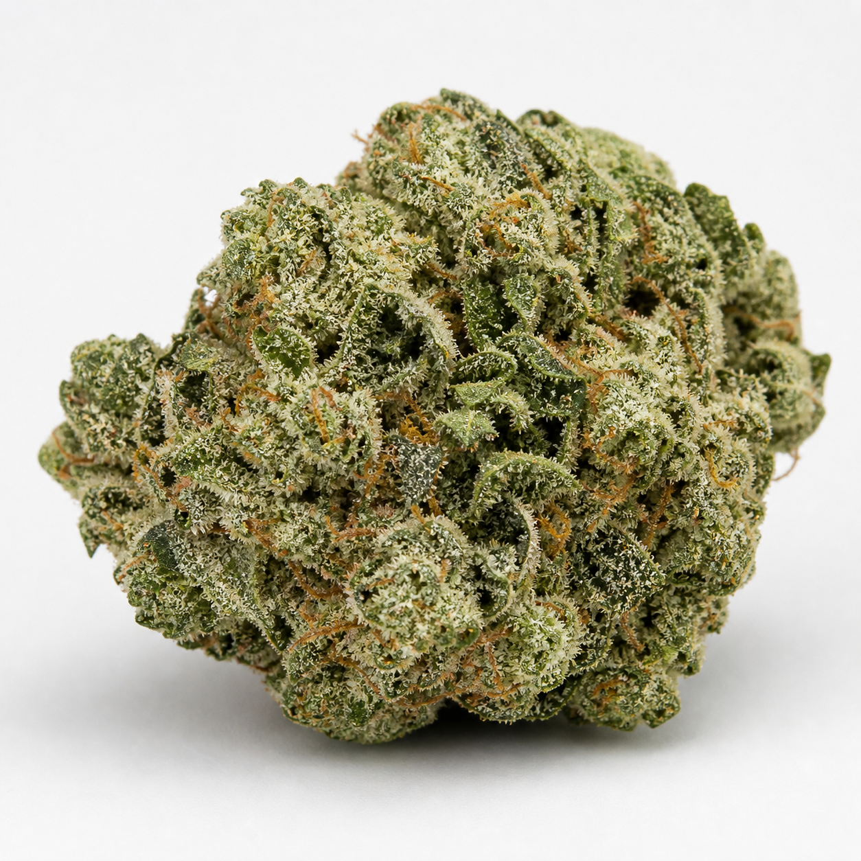 Cogollo de OG Kush de Bulk Seeds en primer plano sobre fondo blanco, con hojas verdes, filamentos anaranjados y abundante cobertura blanquecina.