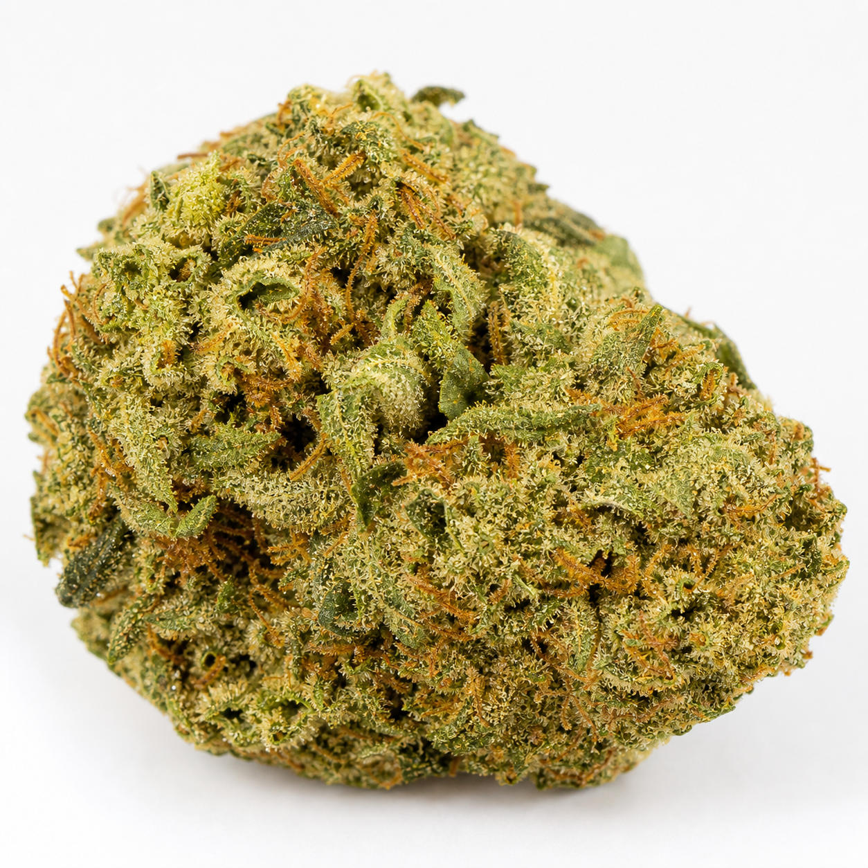 Cogollo de OG Kush Feminizada – PEV Seeds, de forma redondeada, con hojas verdes, filamentos anaranjados y recubrimiento blanquecino. Cogollo de OG Kush Feminizada – PEV Seeds, de forma redondeada, con hojas verdes, filamentos anaranjados y recubrimiento blanquecino.