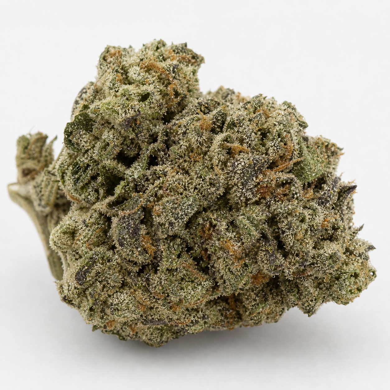 Cogollo de OGKZ Auto de Humboldt Seeds en primer plano, con tonos verdes y oscuros, filamentos anaranjados y abundantes puntos blanquecinos.