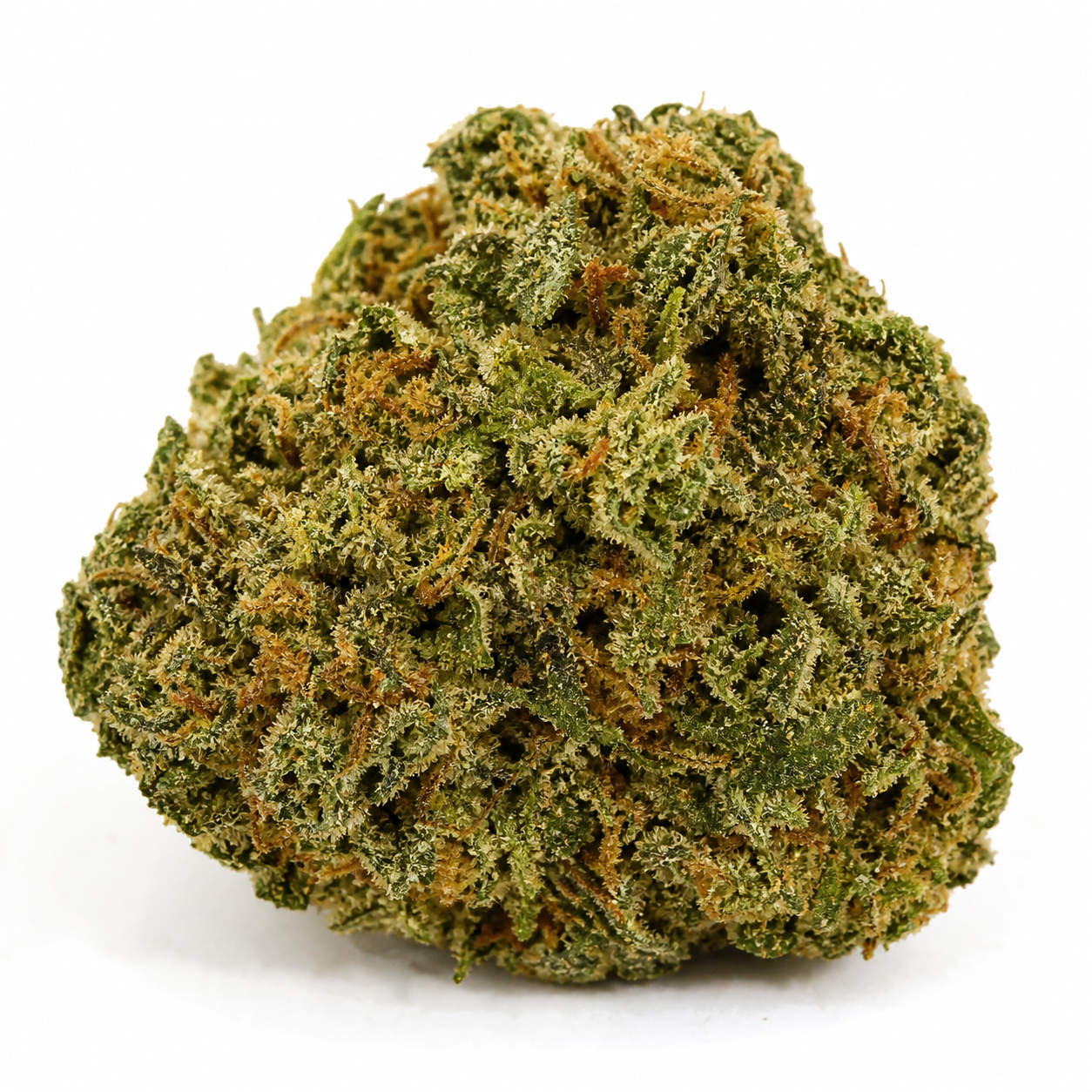 Cogollo de Og's Kush de Blimburn Seeds en primer plano, de forma compacta y redondeada, con tonos verdes y filamentos anaranjados.