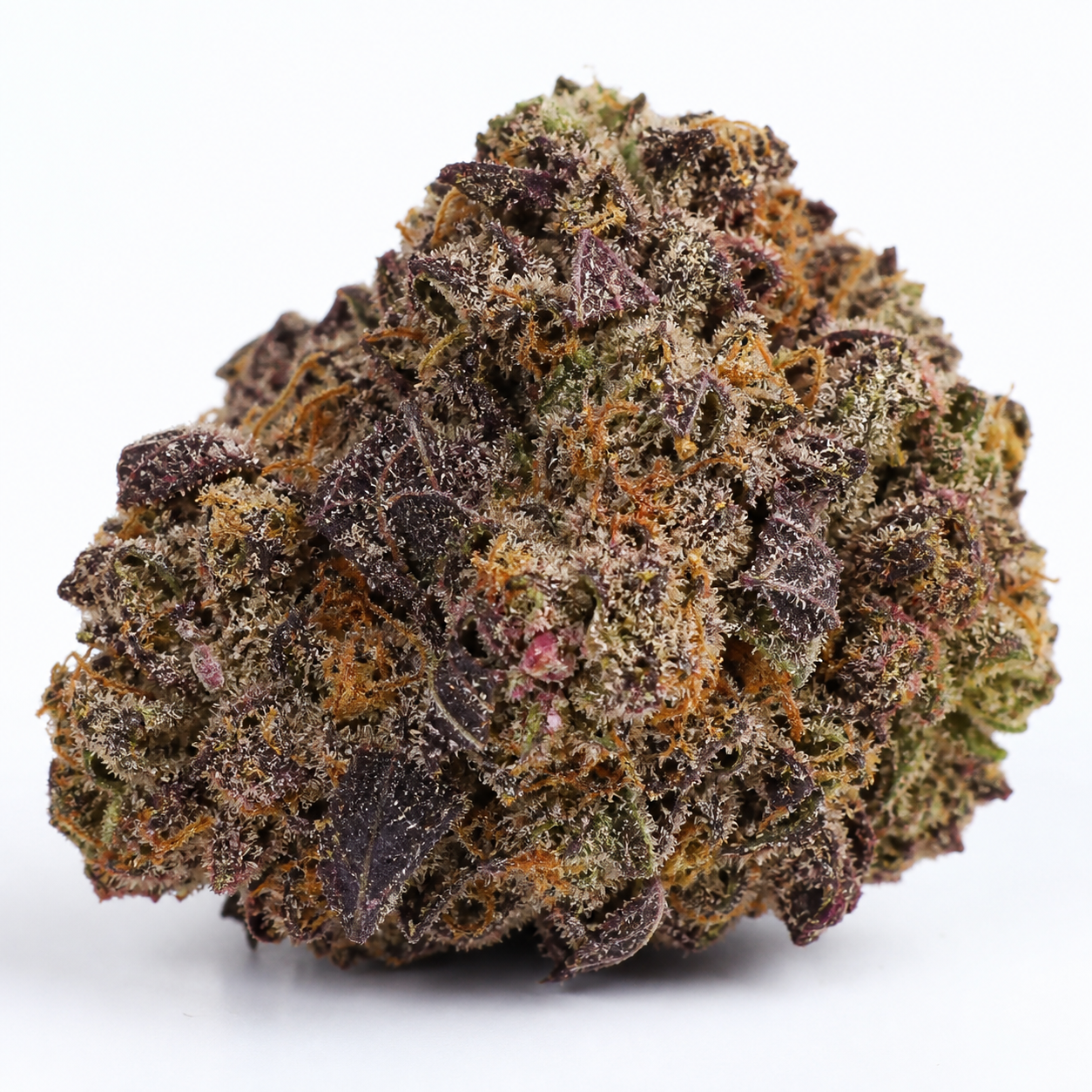 Primer plano de un cogollo de Original Orange Bud de Bulk Seeds, con hojas moradas, filamentos anaranjados y abundantes tricomas.