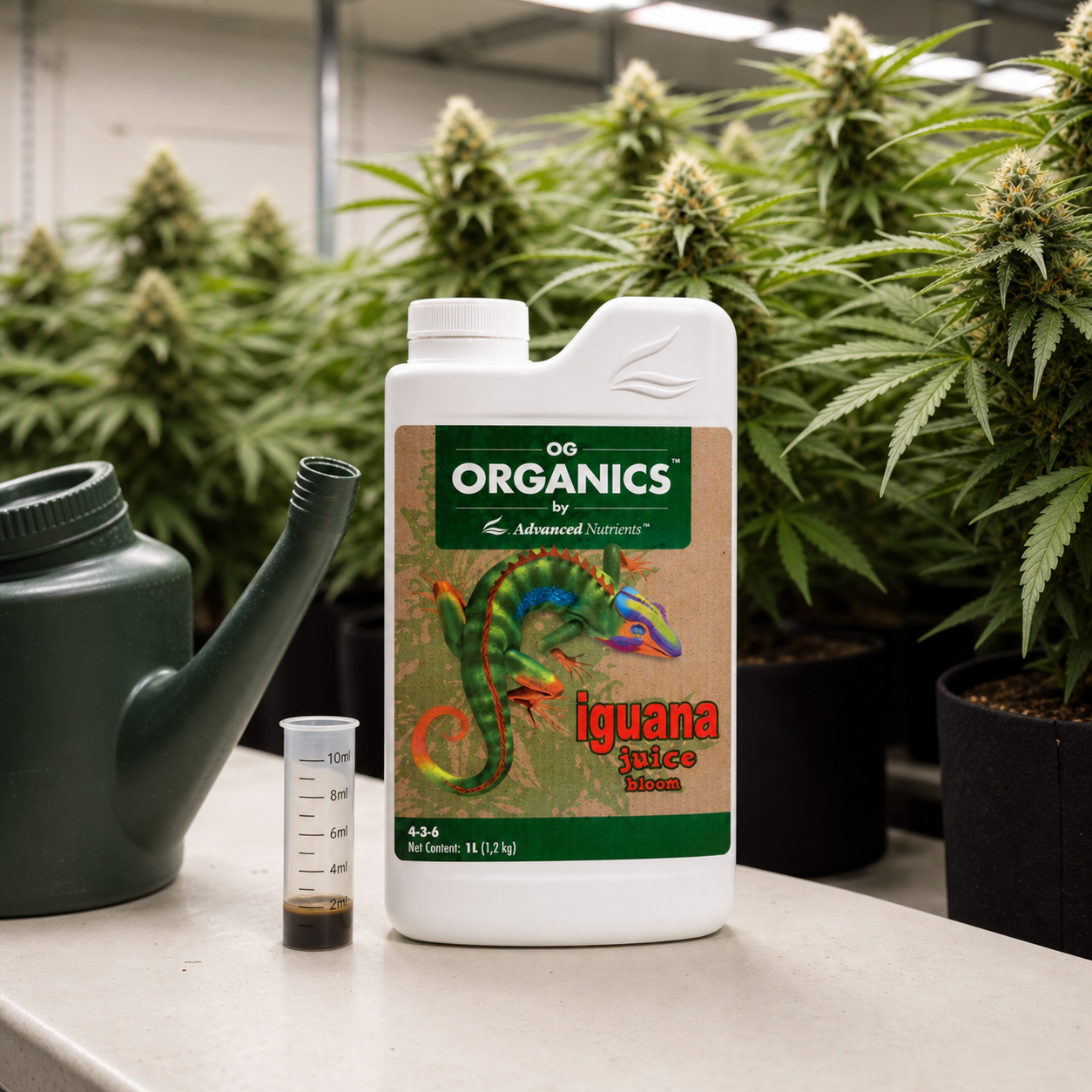 Botella blanca de OG Organics Iguana Juice Bloom junto a una regadera y un dosificador, con plantas de cannabis en flor al fondo.