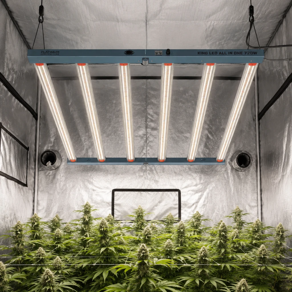 Escena generada del Platinum King LED 720W suspendido con sus barras iluminadas sobre plantas en un armario de paredes reflectantes.
