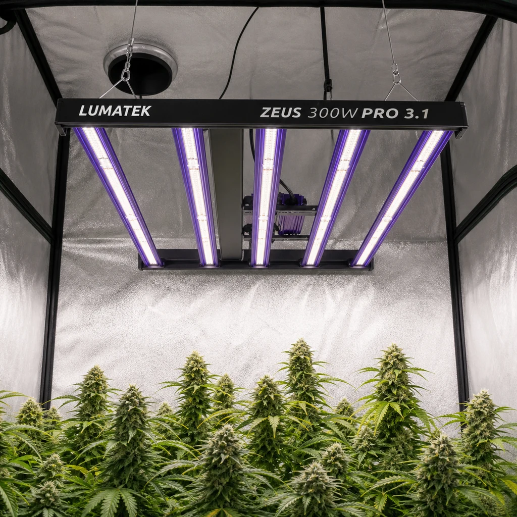 Escena generada de una luminaria Lumatek Zeus 300W Pro 3.1 suspendida, con barras encendidas sobre plantas en un armario reflectante.