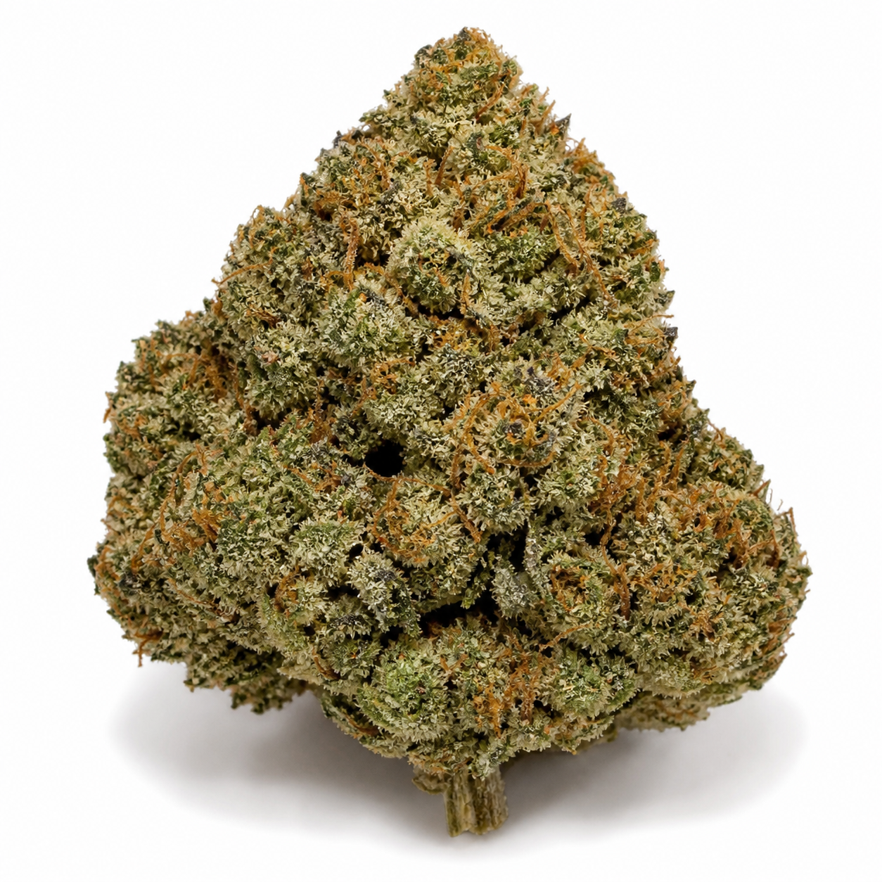 Cogollo de Persian Pie Feminizada de tonos verdes, con abundantes tricomas y pistilos anaranjados, sobre fondo blanco.