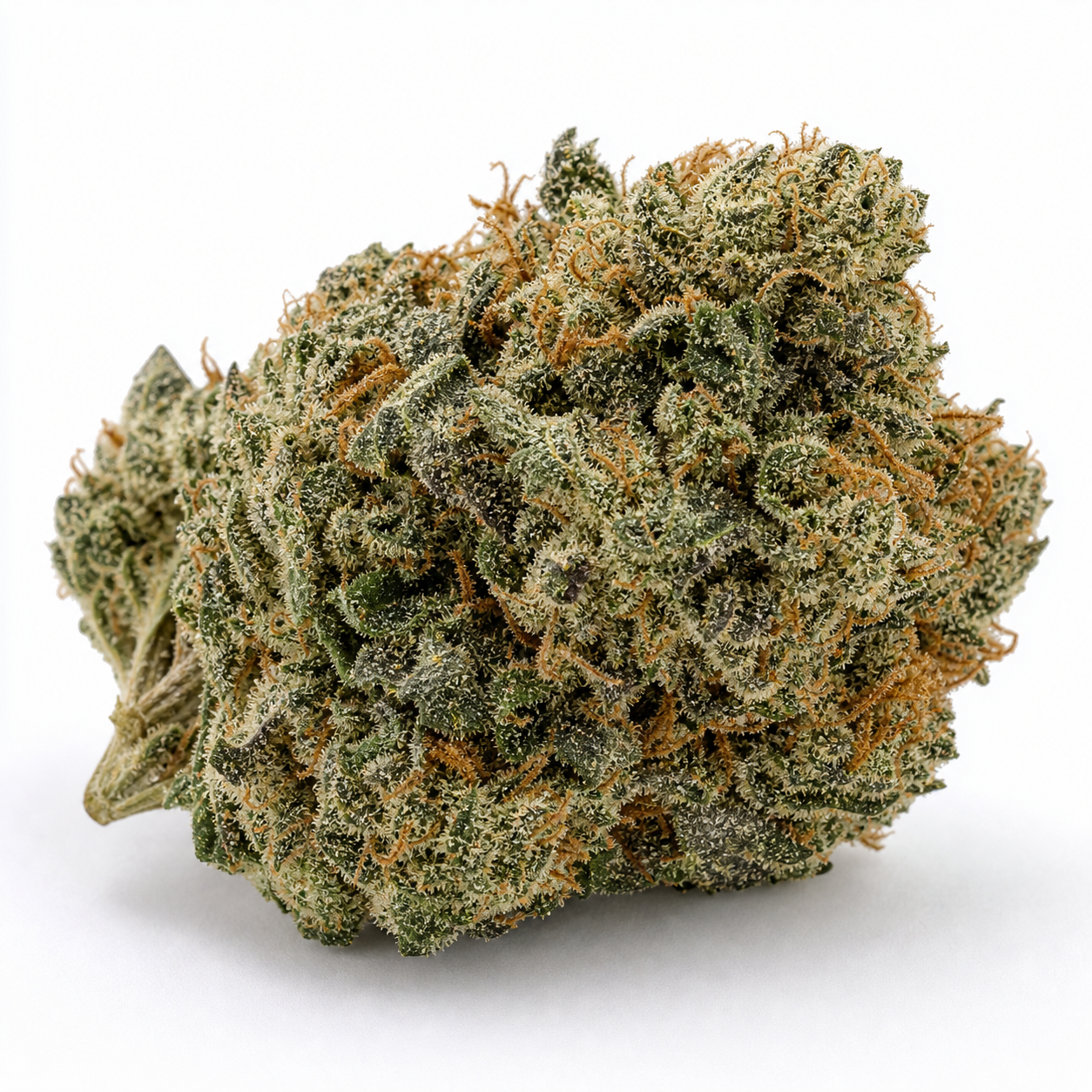 Cogollo de Blueberry Auto de PEV Seeds en primer plano, de contorno ancho, con hojas verdes, filamentos anaranjados y tricomas claros. Cogollo de Blueberry Auto de PEV Seeds en primer plano, de contorno ancho, con hojas verdes, filamentos anaranjados y tricomas claros.