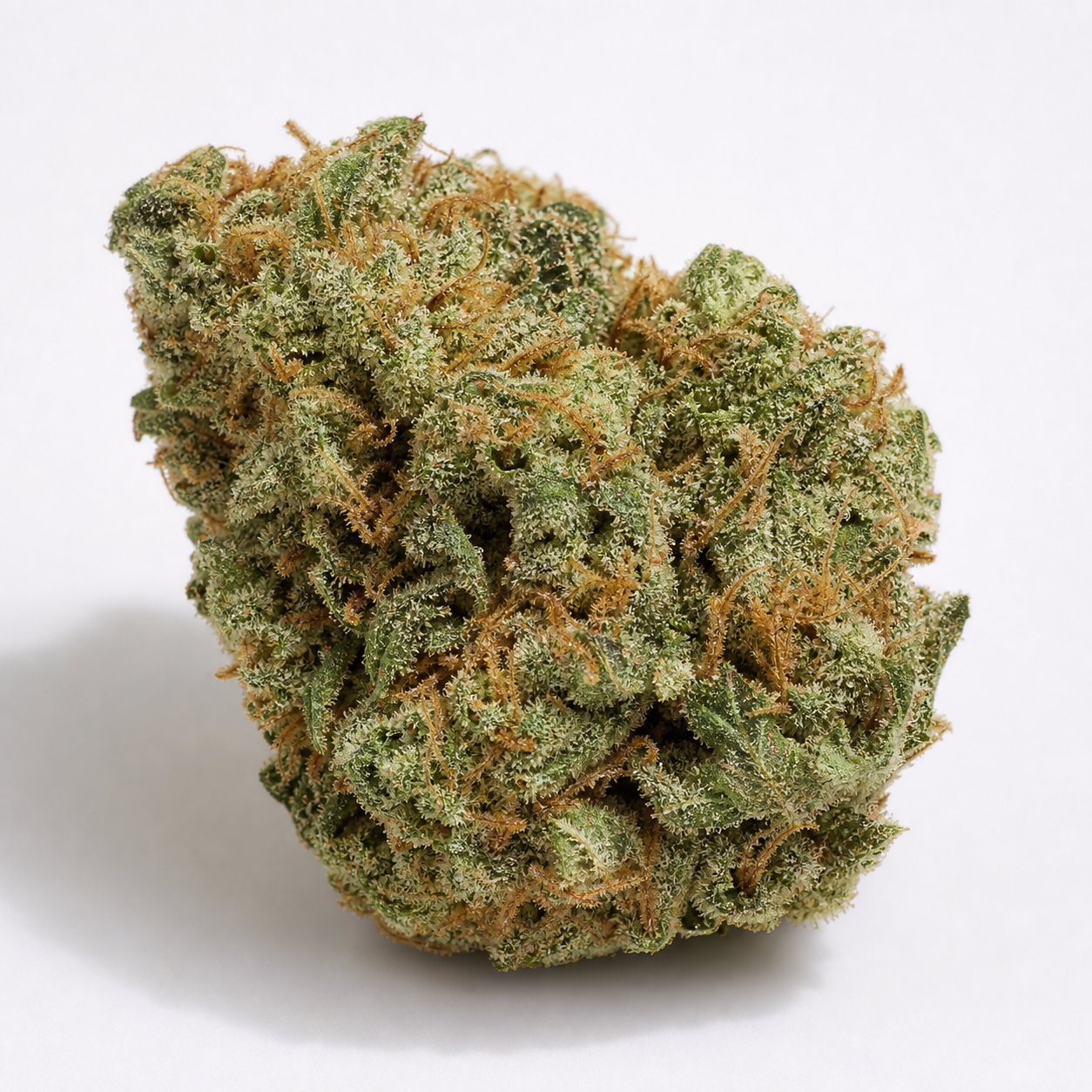 Primer plano de un cogollo de Critical Plus de PEV Seeds, verde y compacto, con filamentos anaranjados y abundante recubrimiento blanquecino. Primer plano de un cogollo de Critical Plus de PEV Seeds, verde y compacto, con filamentos anaranjados y abundante recubrimiento blanquecino.
