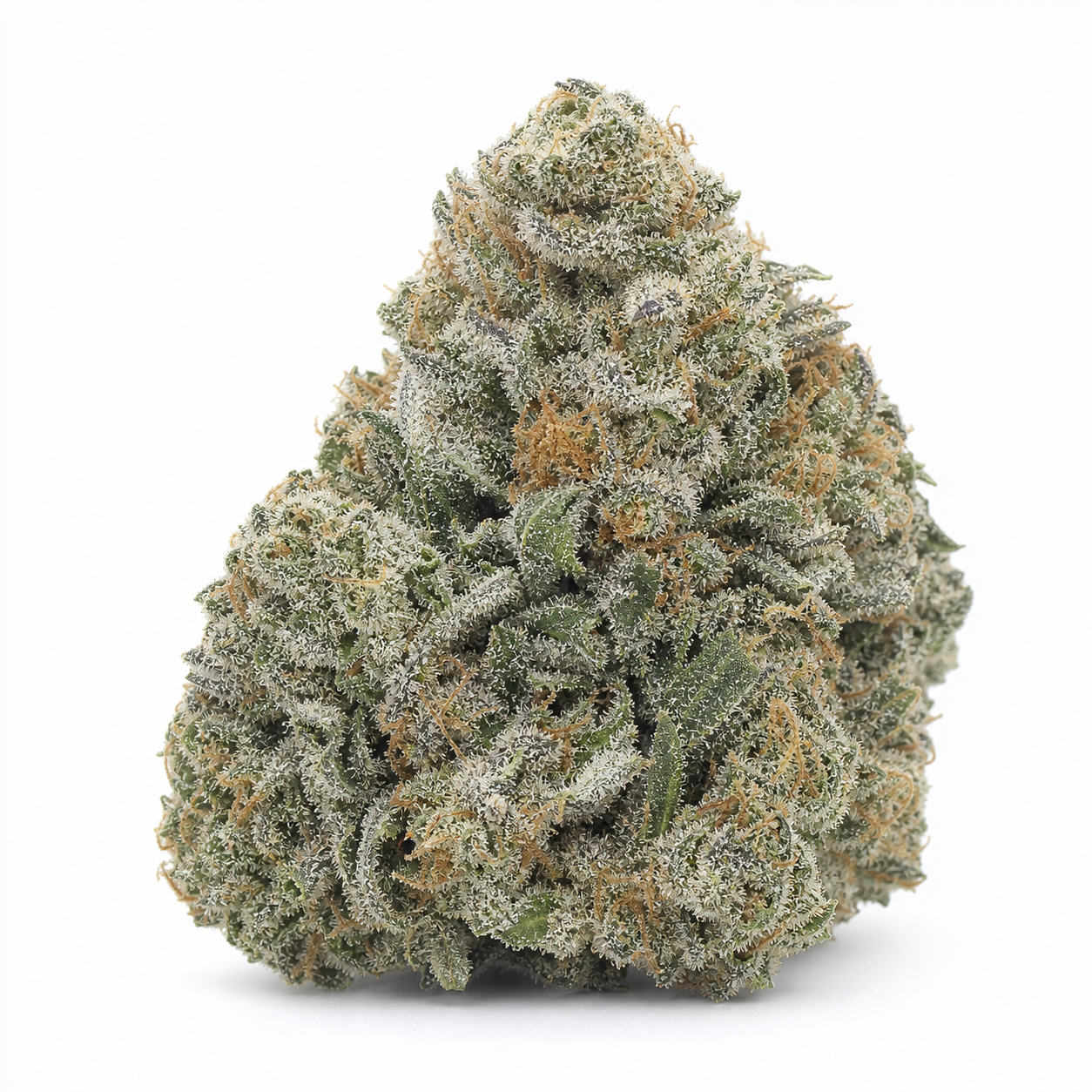 Primer plano de un cogollo de OG Kush Auto de PEV Seeds, de forma cónica, con hojas verdes, filamentos anaranjados y abundantes tricomas.