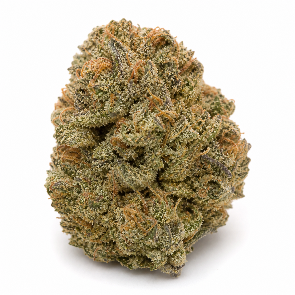 Cogollo de Pineapple Chunk Feminizada en primer plano, con tonos verdes, pequeñas hojas oscuras, pistilos anaranjados y tricomas claros.