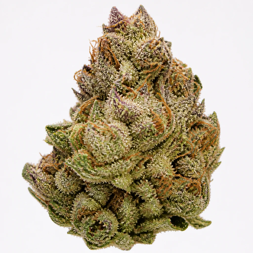 Ilustración de un cogollo verde con tonos morados y filamentos anaranjados para la ficha de Pink Paletas Feminizada de Karma Genetics.