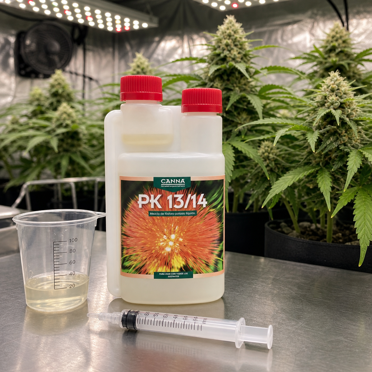 Envase de CANNA PK 13/14 con tapones rojos, vaso medidor y jeringa sobre una mesa, junto a plantas de cannabis bajo luces de cultivo. Envase de CANNA PK 13/14 con tapones rojos, vaso medidor y jeringa sobre una mesa, junto a plantas de cannabis bajo luces de cultivo.