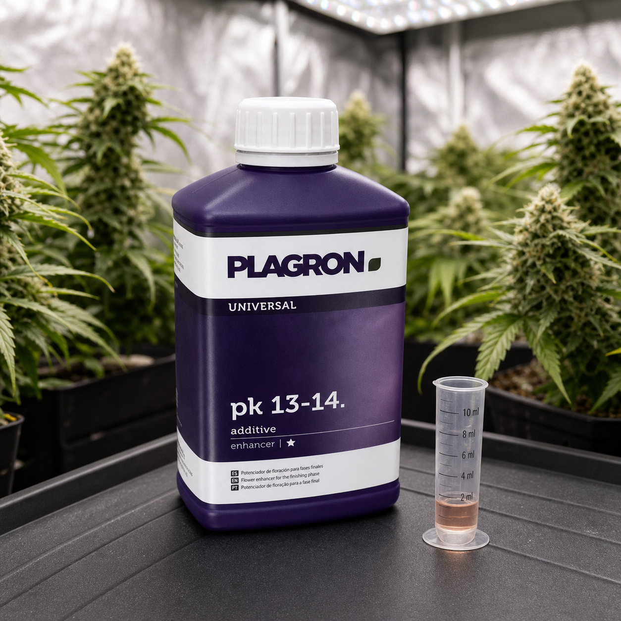 Botella morada de Plagron PK 13-14 con tapón blanco y probeta graduada al lado, ante plantas de cannabis en floración. Botella morada de Plagron PK 13-14 con tapón blanco y probeta graduada al lado, ante plantas de cannabis en floración.