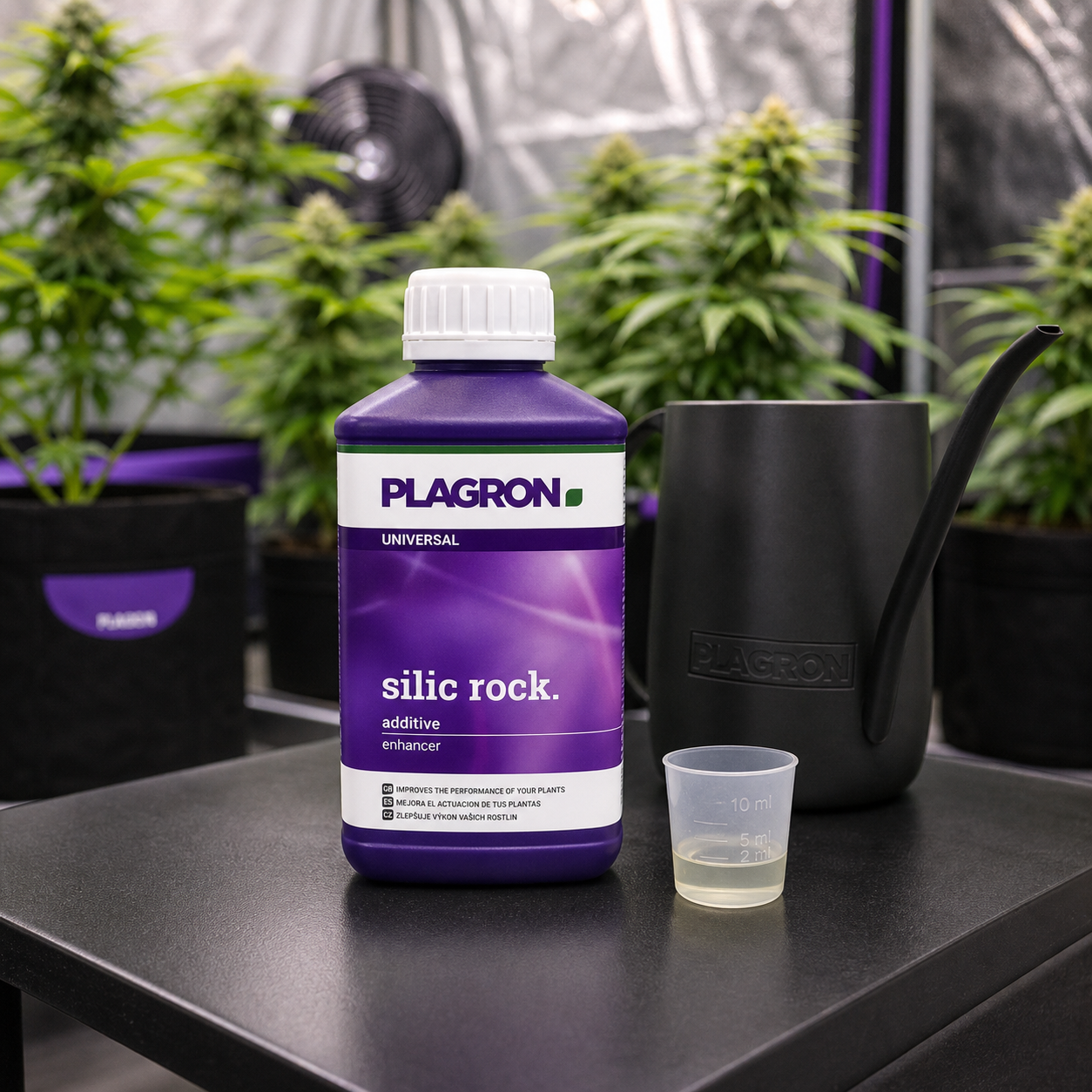 Botella morada Plagron Silic Rock junto a un vaso dosificador y una regadera negra, con plantas de cannabis al fondo.