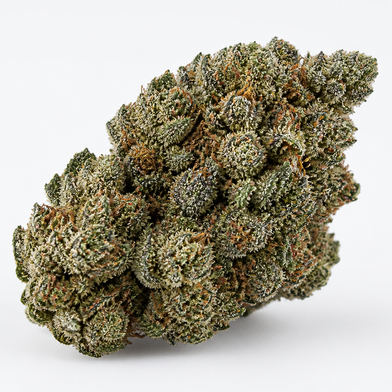 Cogollo de Portela de R-Kiem Seeds en primer plano, con tonos verdes oscuros, pistilos anaranjados y abundantes tricomas sobre fondo blanco.