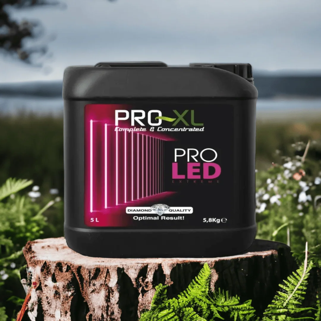 Garrafa negra de Pro LED Pro XL de 5 L, con etiqueta negra y fucsia, sobre un tocón rodeado de helechos y vegetación. Garrafa negra de Pro LED Pro XL de 5 L, con etiqueta negra y fucsia, sobre un tocón rodeado de helechos y vegetación.
