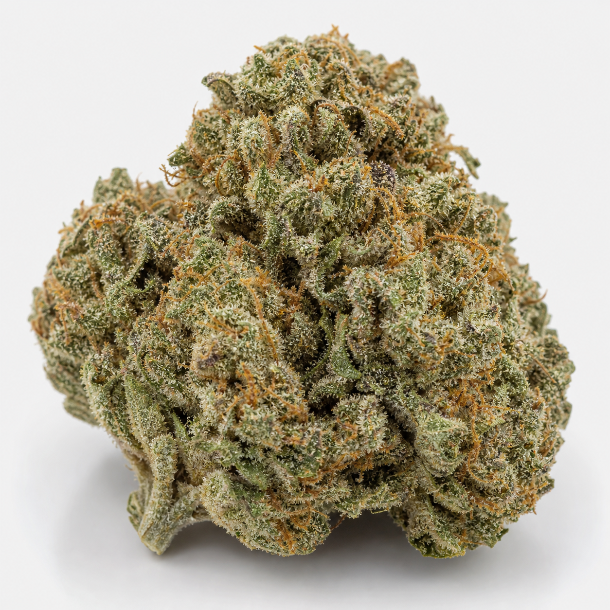 Cogollo de Pulp Friction de Green House Seeds en primer plano, con tonos verdes, pistilos anaranjados y abundantes tricomas claros.
