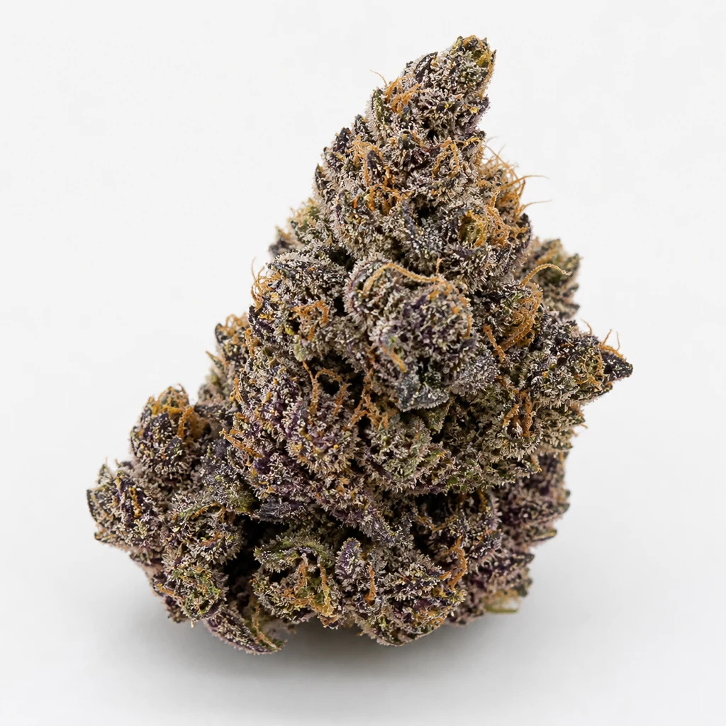 Ilustración de un cogollo de tonos morados oscuros, con filamentos anaranjados y puntos claros, para la ficha de Purple Bud Feminizada de White Label.