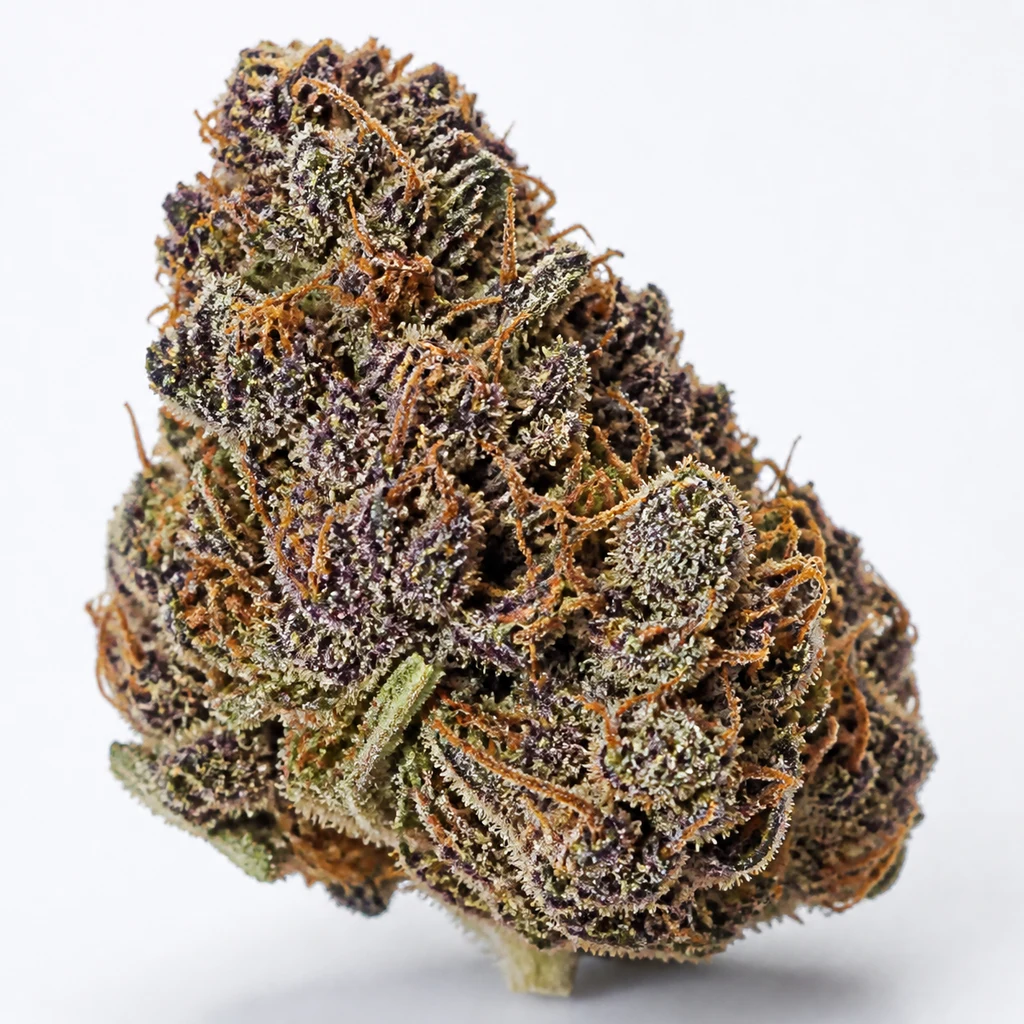Ilustración de un cogollo con tonos morados, verdes y largos pistilos anaranjados para la ficha de Purple Glam Kush Feminizada de Bulk Seeds.