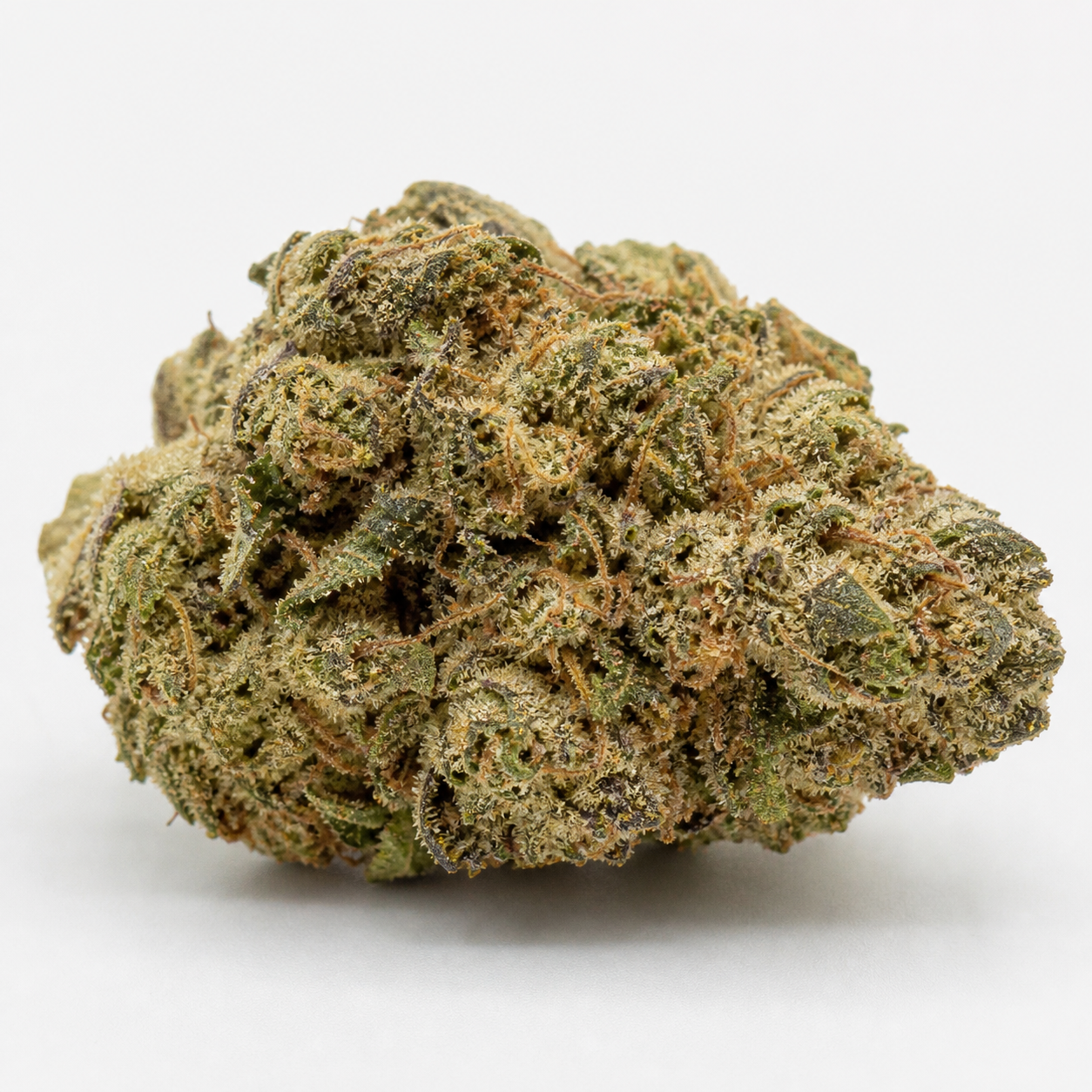 Cogollo de Purple Kush de Kannabia Seeds en primer plano, con tonos verdes, zonas oscuras y filamentos anaranjados sobre fondo blanco.