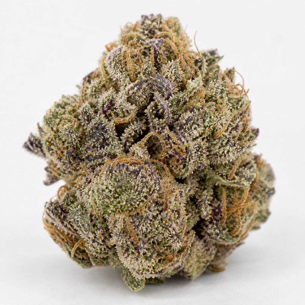 Ilustración de un cogollo verde y morado con pistilos anaranjados y superficie blanquecina para la ficha de Purple Punch Feminizada.