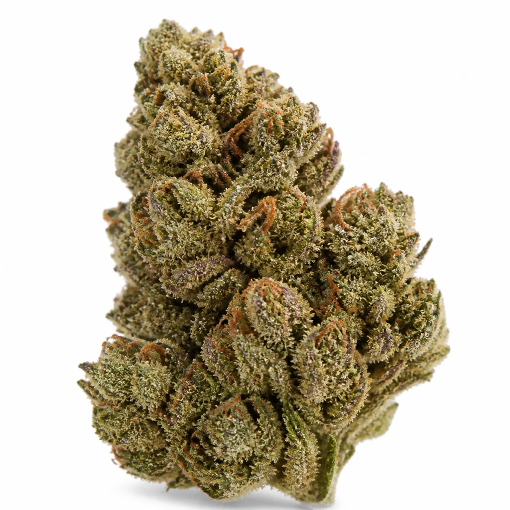 Ilustración de un cogollo compacto con tonos verdes y morados y filamentos anaranjados para la ficha de Purple Punch x Lemon Drizzle.