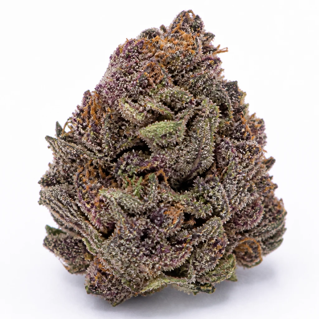 Ilustración de un cogollo para la ficha de Purple Queen Auto, con tonos morados y verdes, filamentos naranjas y puntos blanquecinos.