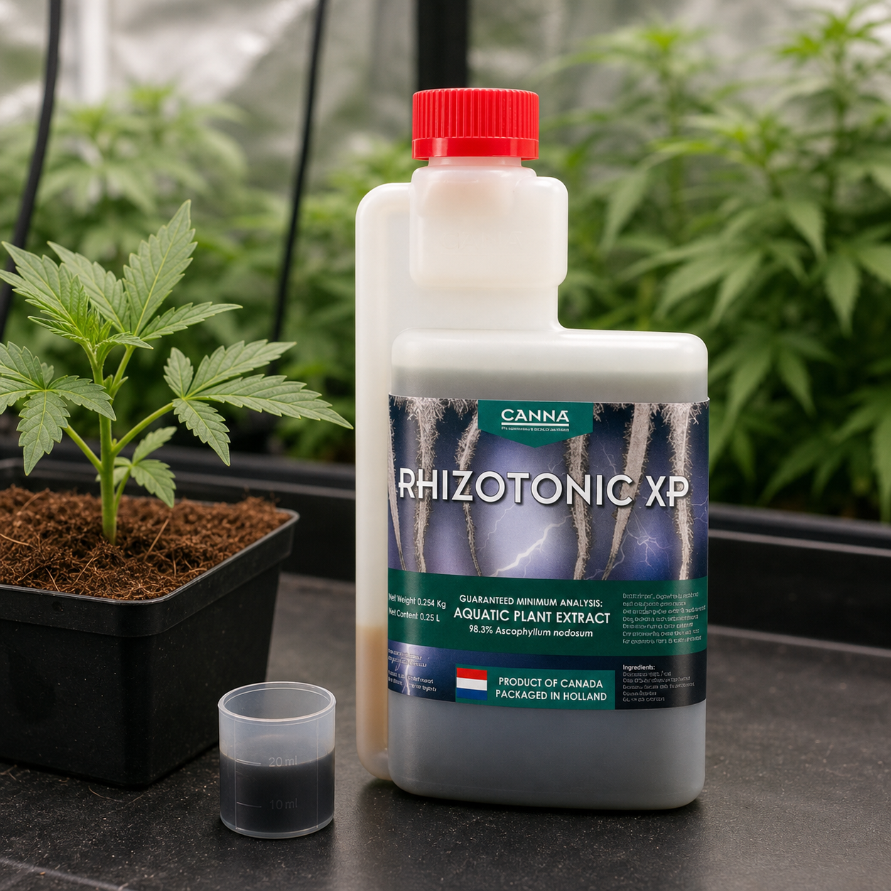 Botella de Canna Rhizotonic XP con tapón rojo y dosificador integrado, junto a un vaso medidor y una planta en maceta.