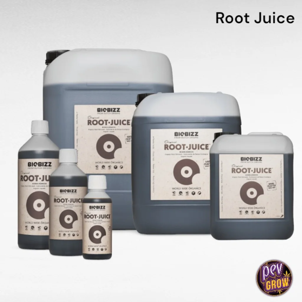 Selección de formatos de BioBizz Root Juice en botellas y garrafas de distintos tamaños, con etiquetas beige sobre fondo blanco.