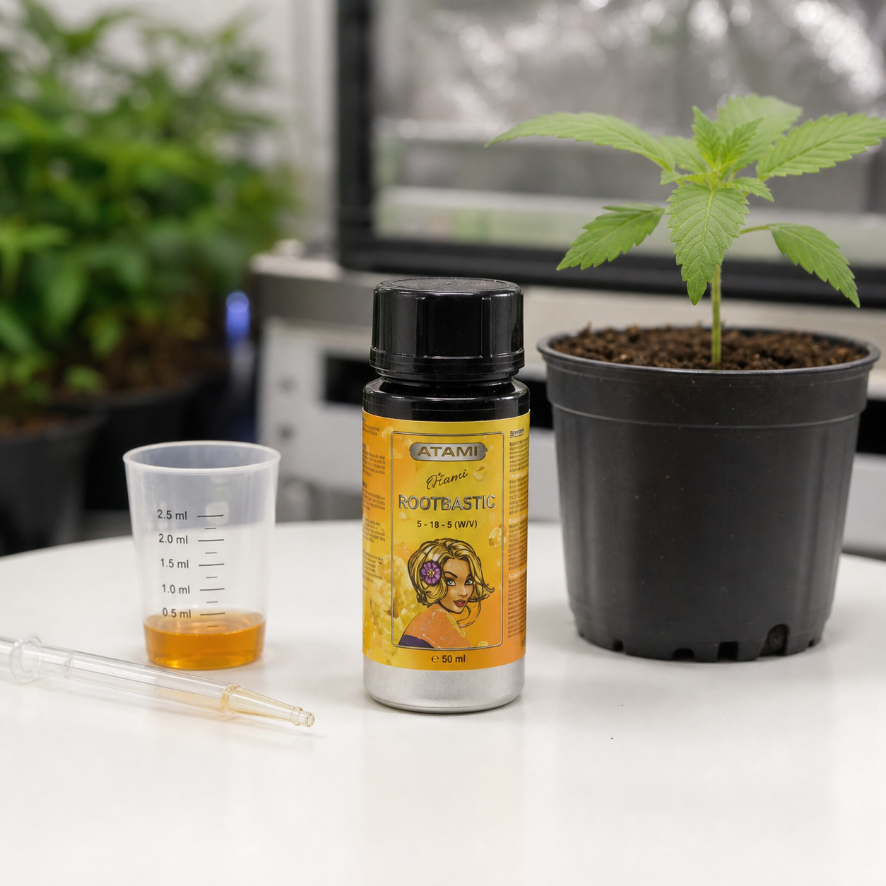 Bote de Rootbastic Atami con etiqueta amarilla junto a un vaso graduado con líquido ámbar, una pipeta y una planta joven en maceta. Bote de Rootbastic Atami con etiqueta amarilla junto a un vaso graduado con líquido ámbar, una pipeta y una planta joven en maceta.