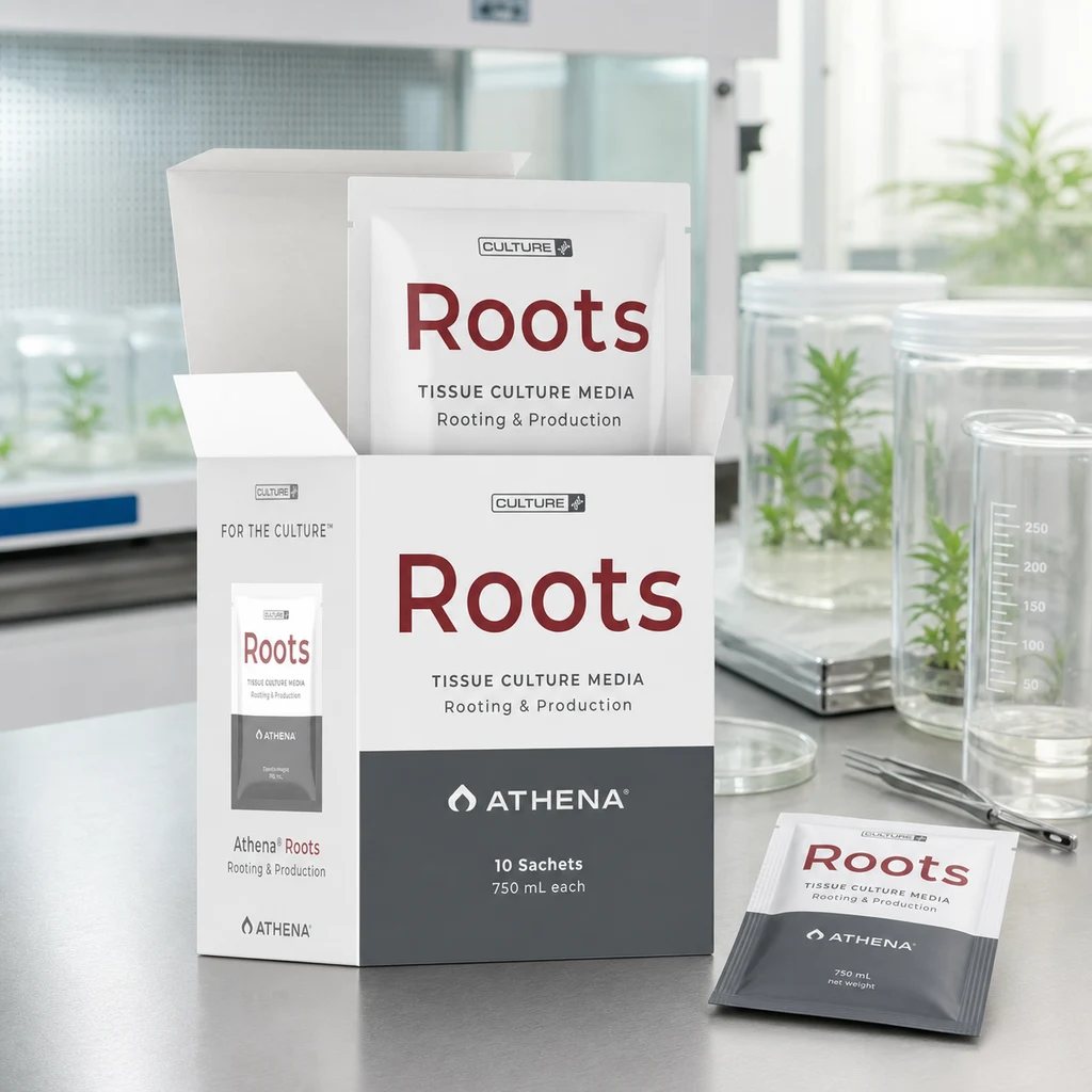 Escena generada de Roots Culture Media Athena: caja abierta y sobres sobre una mesa de laboratorio, junto a recipientes con plantas. Escena generada de Roots Culture Media Athena: caja abierta y sobres sobre una mesa de laboratorio, junto a recipientes con plantas.