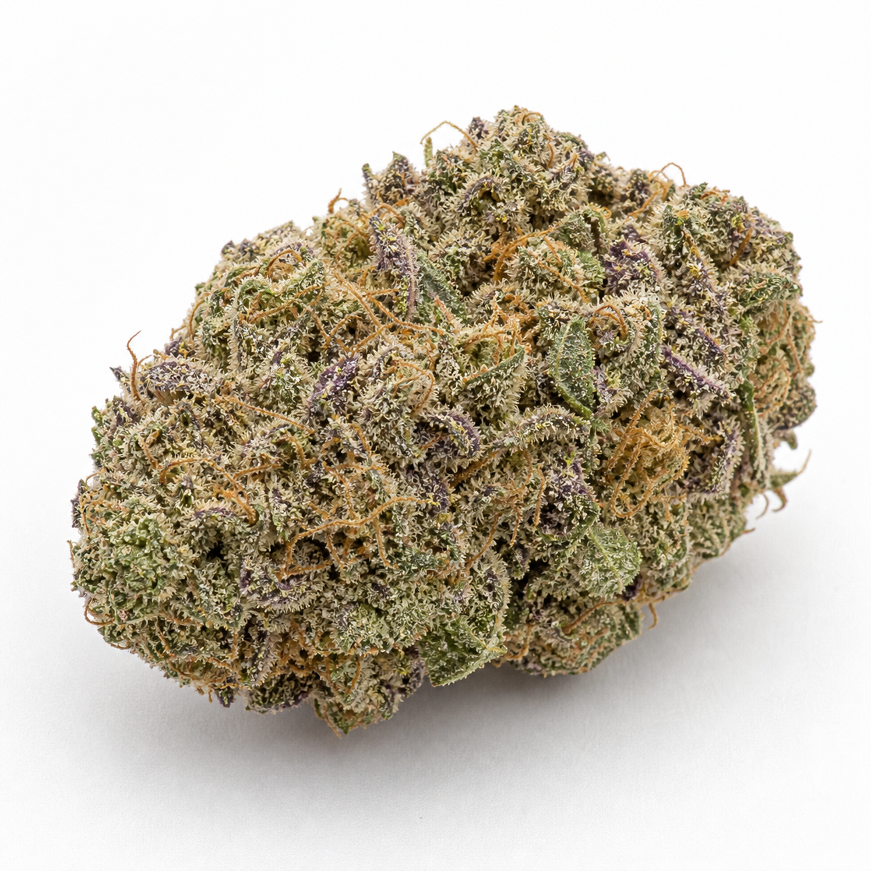 Cogollo de Sage N Sour de TH Seeds en primer plano, con tonos verdes y morados, filamentos anaranjados y abundantes tricomas.