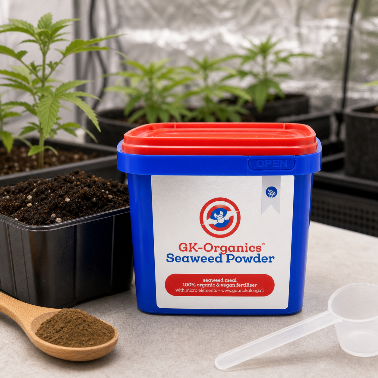 Envase azul de GK-Organics Seaweed Powder con tapa roja, junto a una cuchara con polvo marrón y macetas con plantas al fondo. Envase azul de GK-Organics Seaweed Powder con tapa roja, junto a una cuchara con polvo marrón y macetas con plantas al fondo.