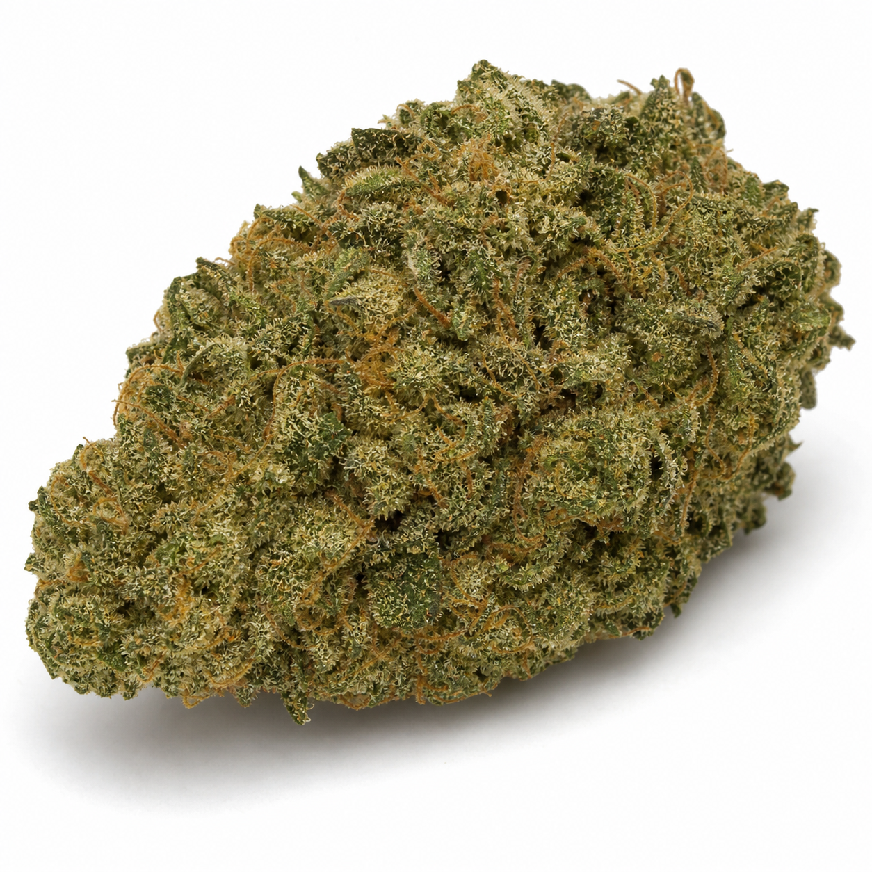 Cogollo de Calamity Jane Auto de Buddha Seeds, compacto y alargado, con tonos verdes y filamentos anaranjados sobre fondo blanco.