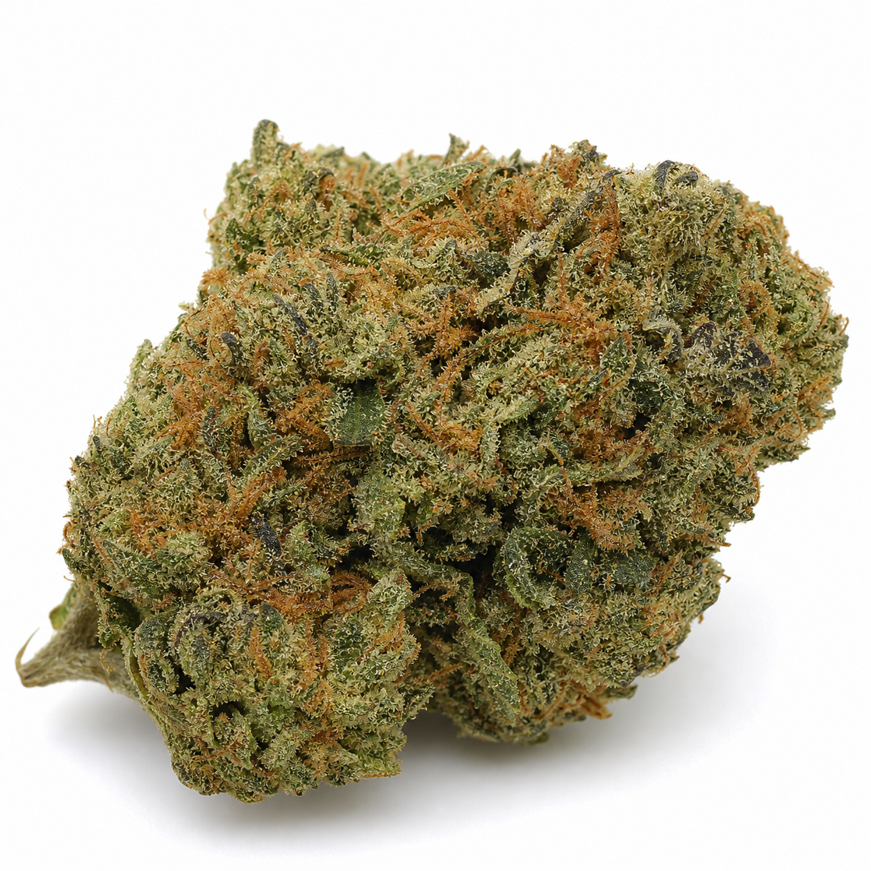 Cogollo de Big Bud Automatic de Sensi Seeds en primer plano, con hojas verdes, pistilos anaranjados y tricomas claros sobre fondo blanco.