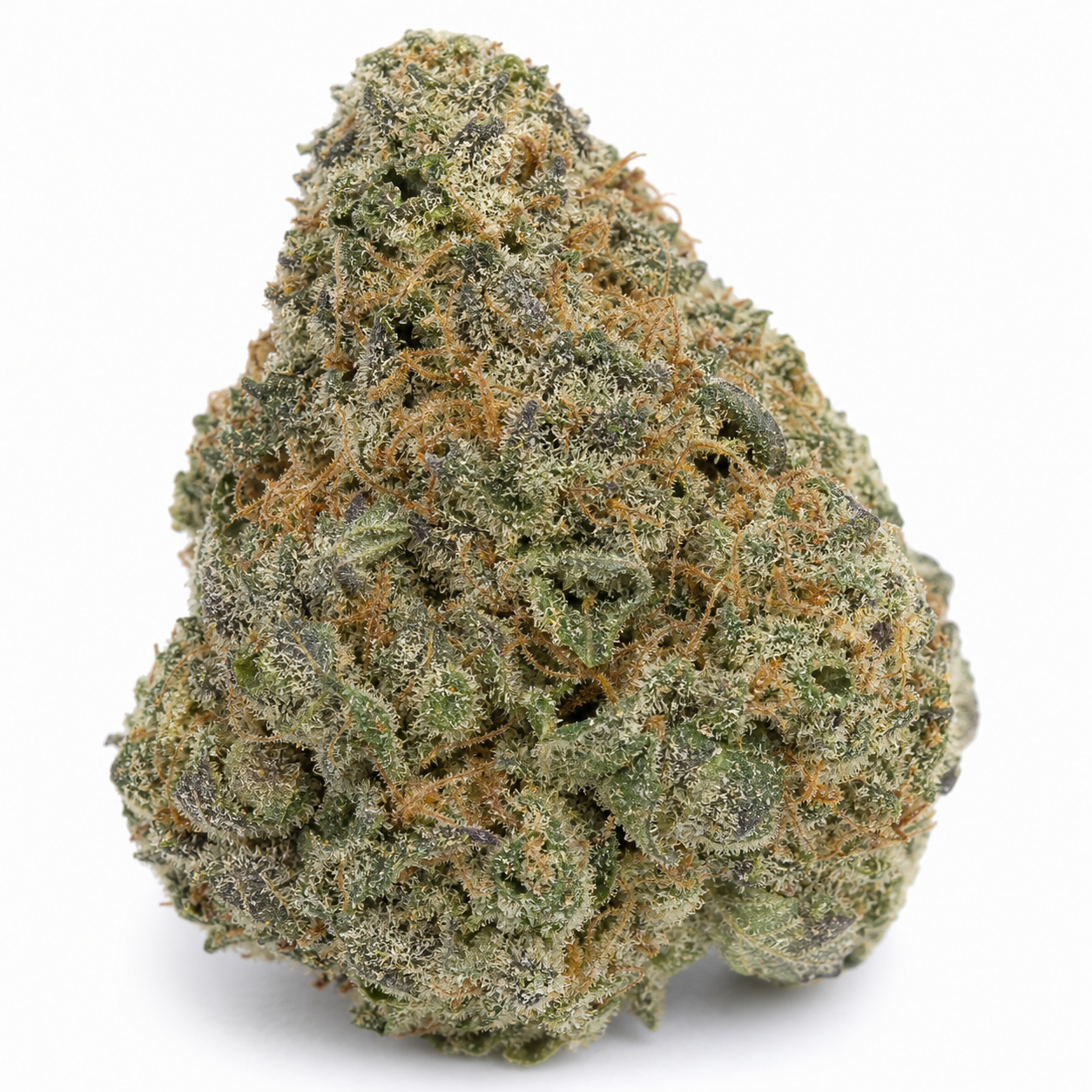 Cogollo de Original White Widow (IBL) de Paradise Seeds, de forma cónica, con abundantes tricomas claros y pistilos anaranjados.