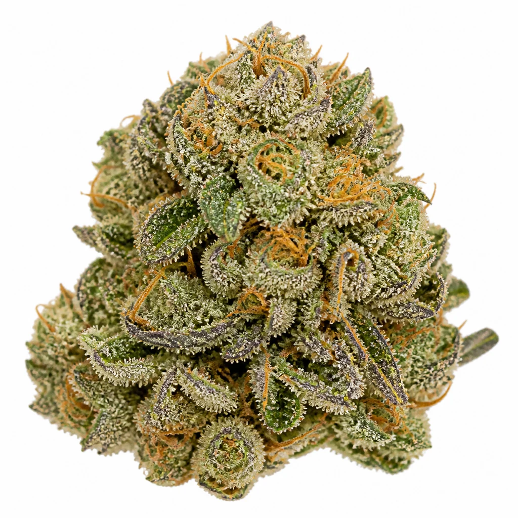Ilustración de un cogollo con hojas verdes, bordes morados y filamentos naranjas para la ficha de Fruit Spirit Feminizada de Royal Queen Seeds.