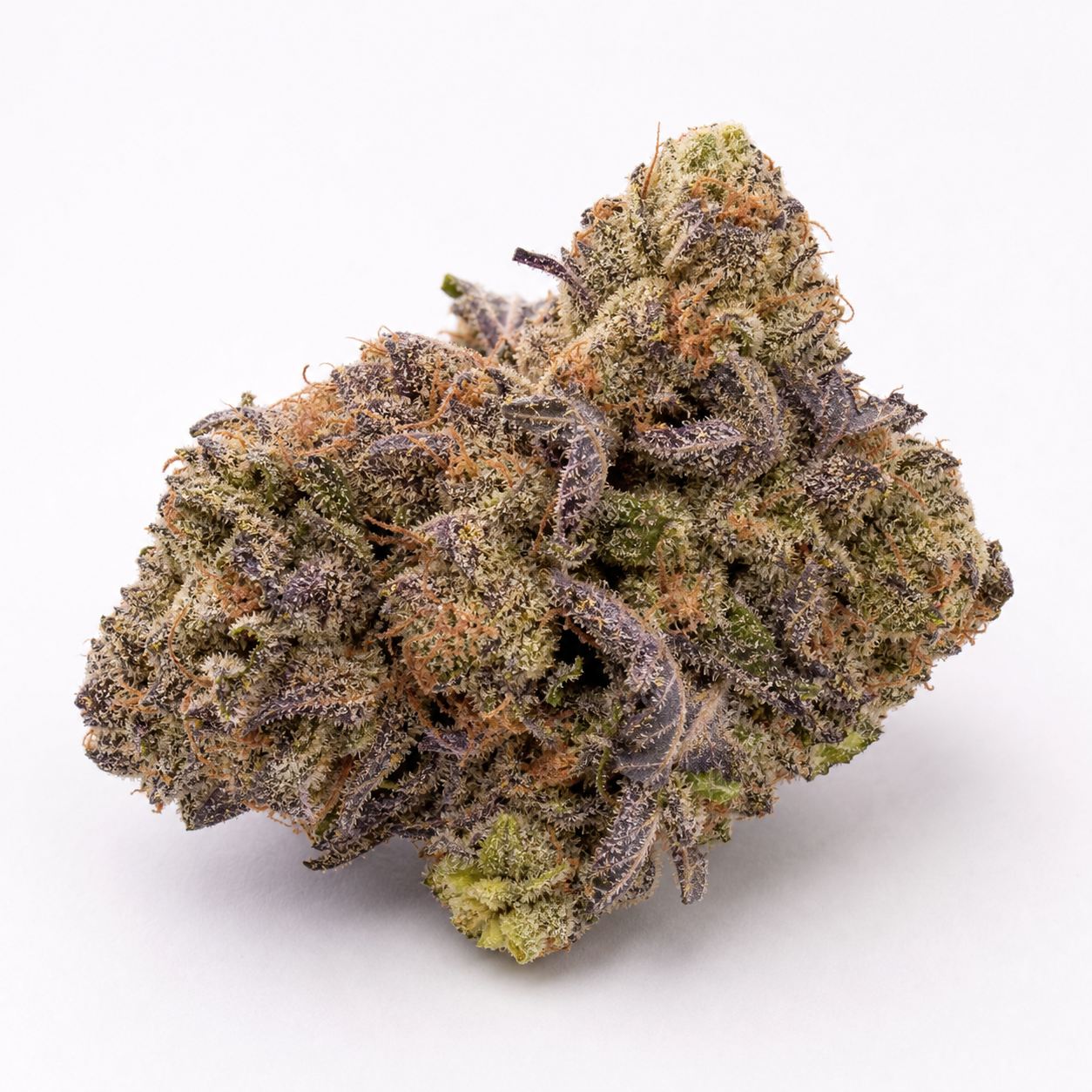 Cogollo de Anesthesia Auto de Pyramid Seeds con hojas moradas y verdes, pistilos anaranjados y abundantes tricomas sobre fondo blanco.