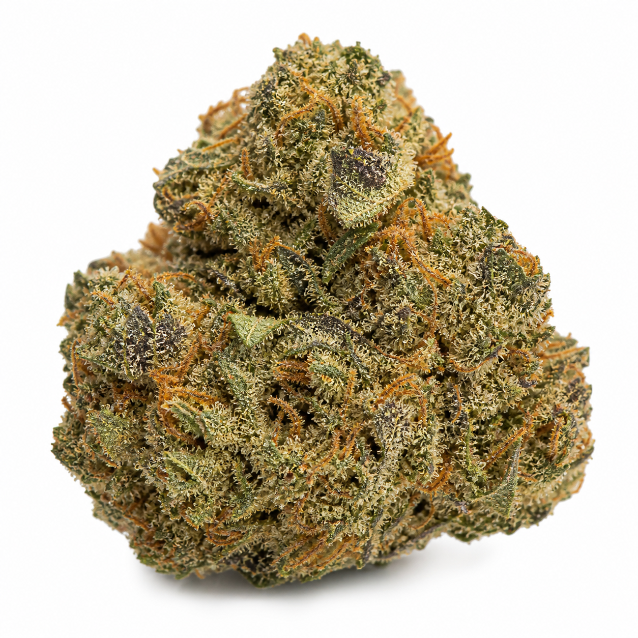 Cogollo de Cream Mandarine Auto® de Sweet Seeds sobre fondo blanco, con hojas verdes y oscuras, filamentos naranjas y recubrimiento blanquecino.