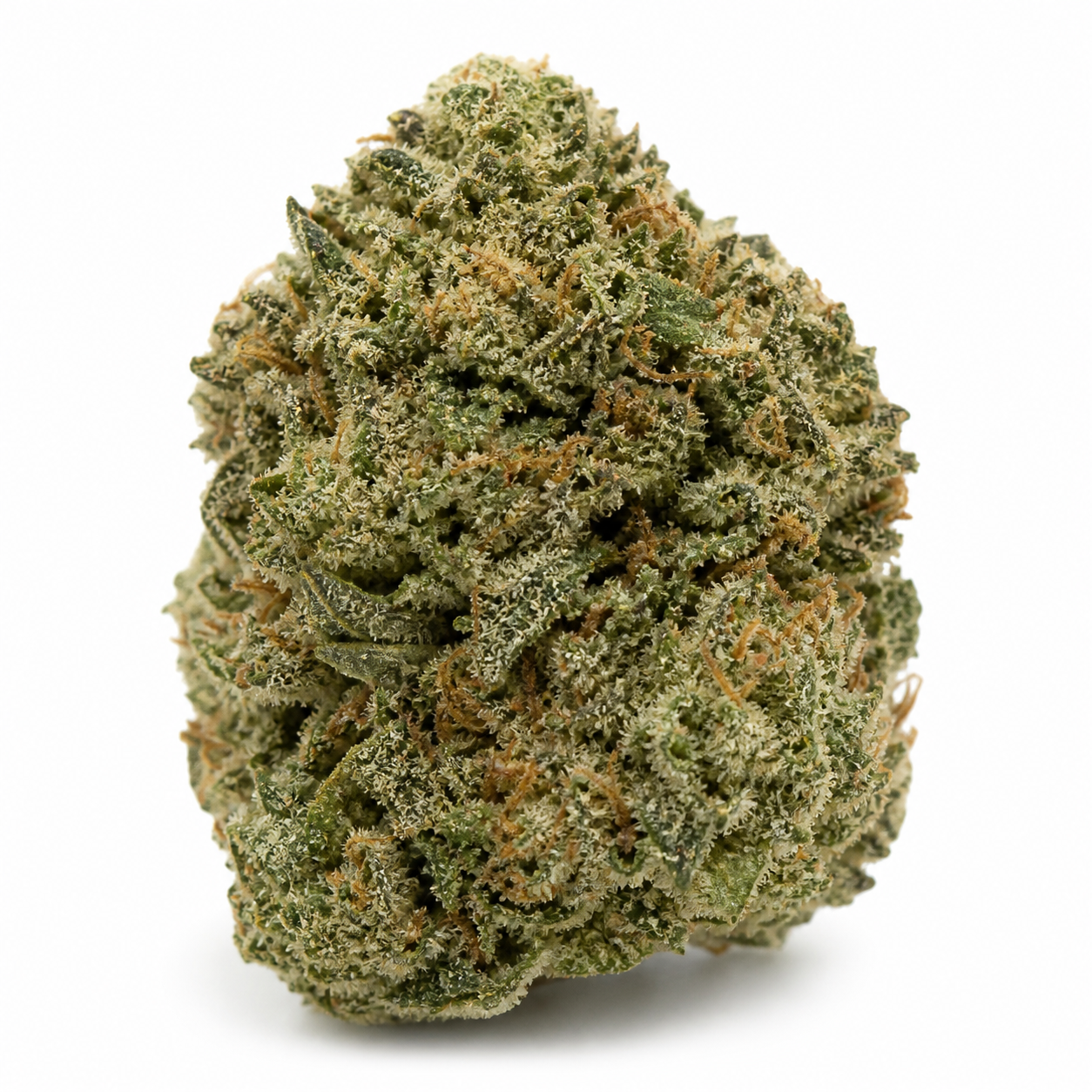 Cogollo de Auto Nefertiti de Pyramid Seeds en primer plano, con hojas verdes, filamentos anaranjados y abundantes tricomas sobre fondo blanco.