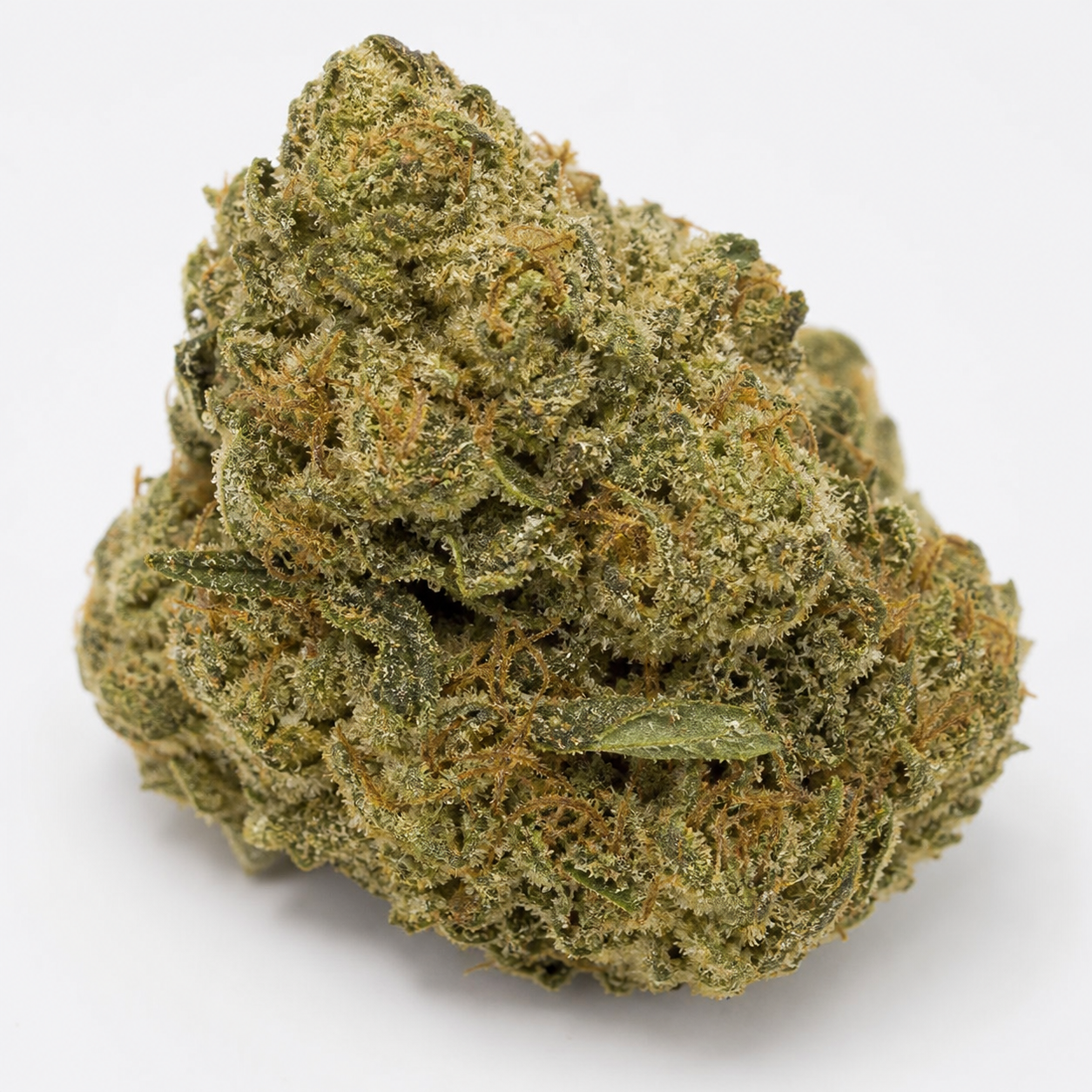 Cogollo de Jack Herer Feminizada de PEV Seeds en primer plano, de forma compacta, con hojas verdes y filamentos anaranjados. Cogollo de Jack Herer Feminizada de PEV Seeds en primer plano, de forma compacta, con hojas verdes y filamentos anaranjados.