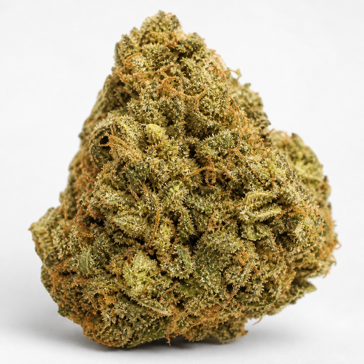 Cogollo de Auto Afghan Mass XXL de 00 Seeds en primer plano, de forma compacta, con tonos verdes y filamentos anaranjados sobre fondo blanco.
