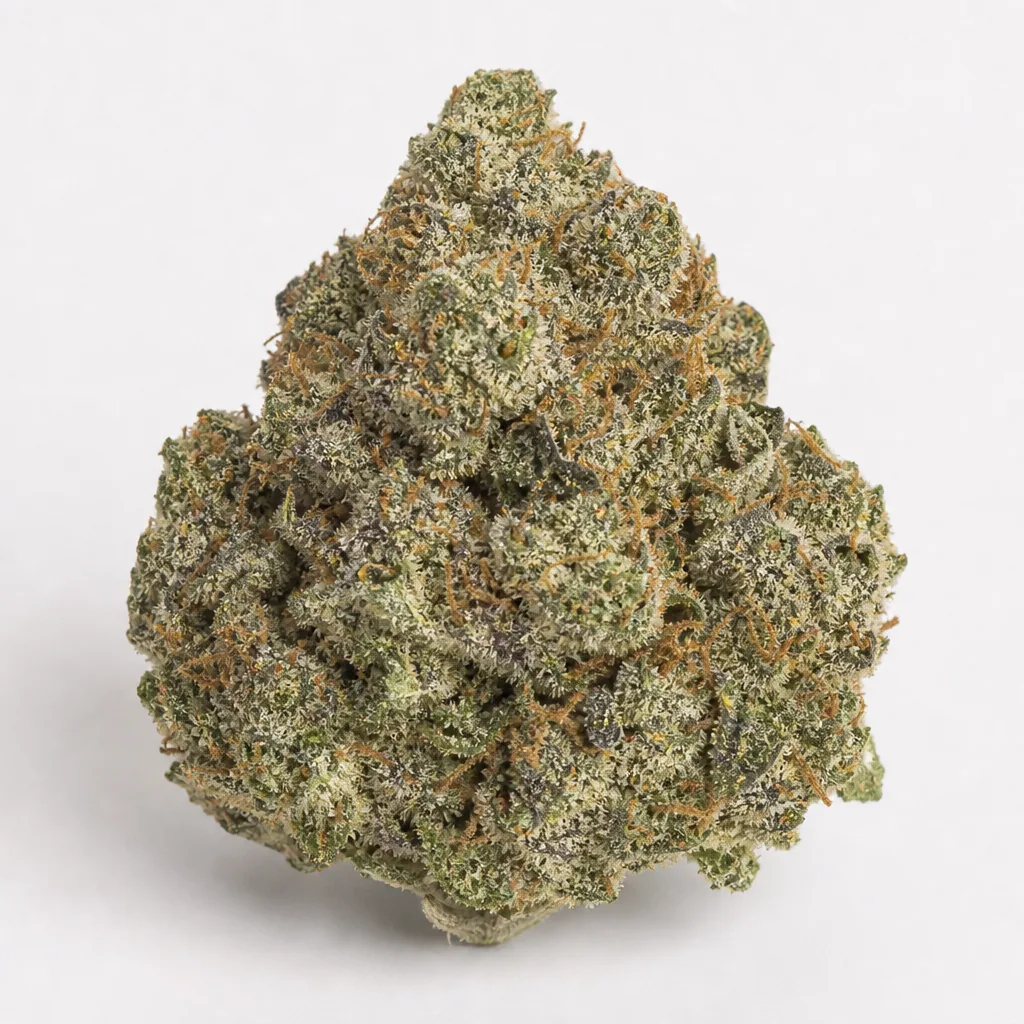 Cogollo de Auto Super Skunk de 00 Seeds en primer plano, de forma cónica, verde y con filamentos anaranjados sobre fondo claro.