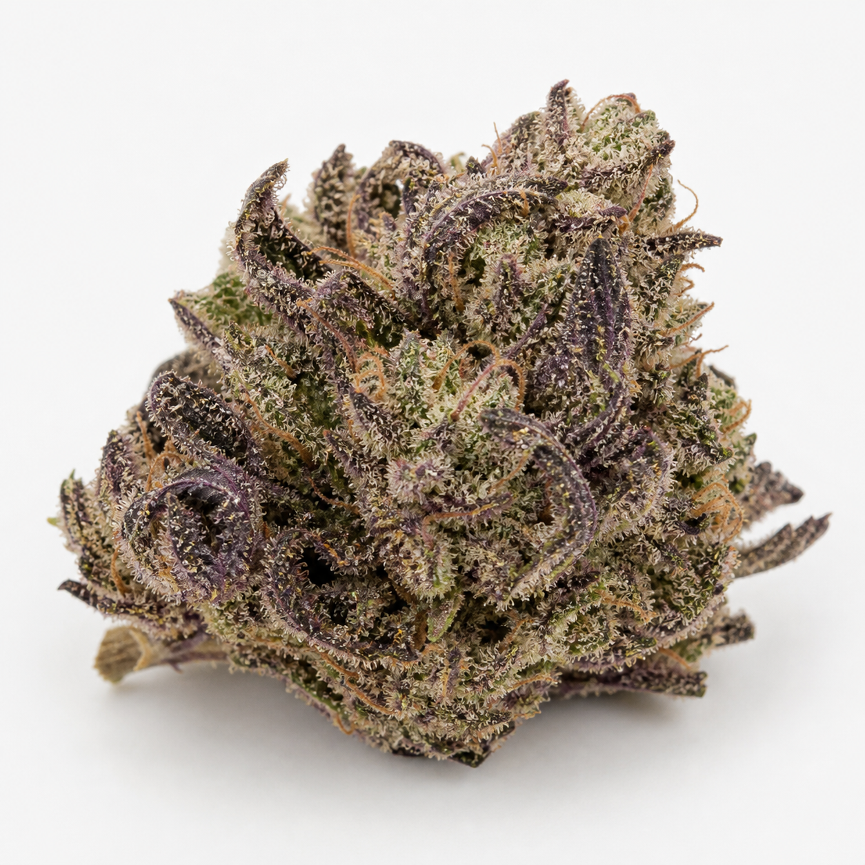 Cogollo de Auto Biodiesel Mass XXL de Advanced Seeds con hojas moradas, zonas verdes y filamentos anaranjados sobre fondo blanco.