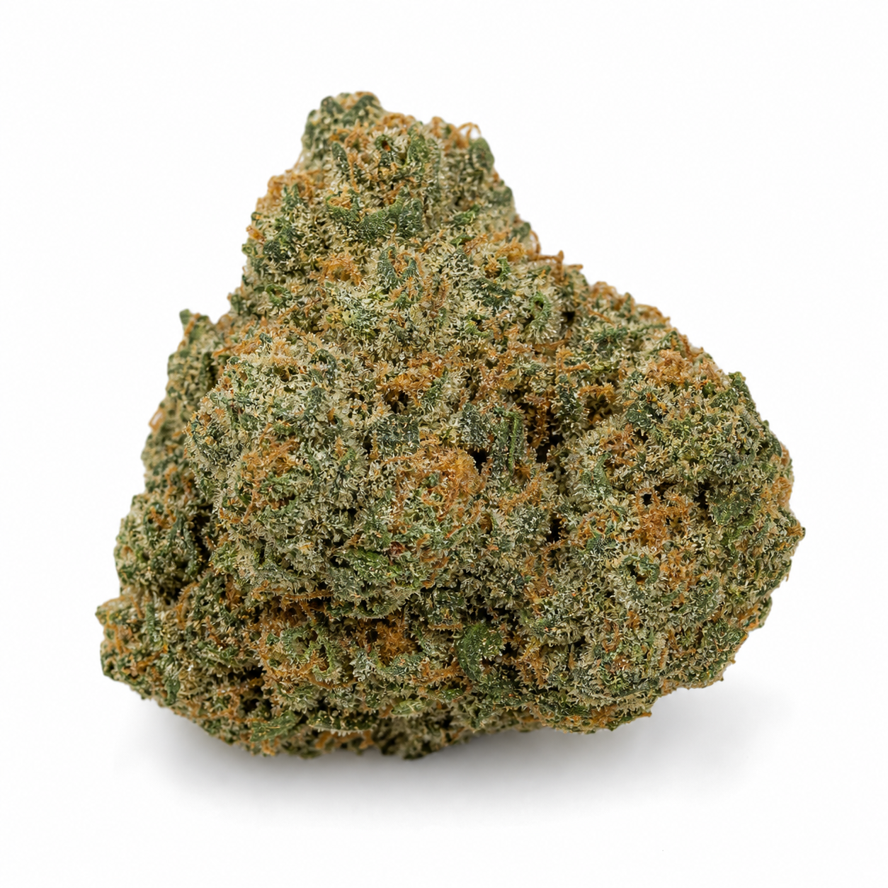 Cogollo de Cherry Pie Fast de Advanced Seeds sobre fondo blanco, de contorno ancho, tonos verdes y filamentos anaranjados.